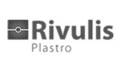 לוגו rivulis